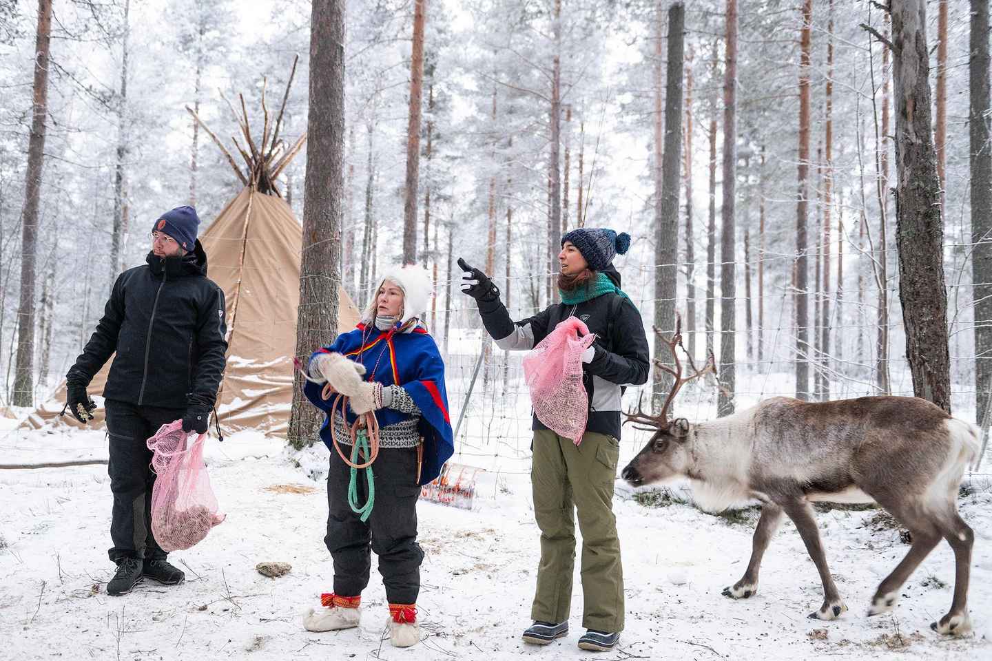 Luleå, Lapponia svedese: incontro con le renne e lávvu Sami
