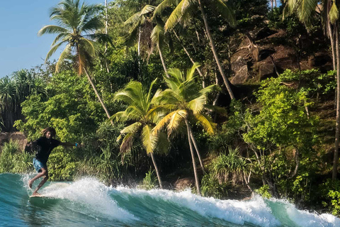 All Inclusive Weligama Bay Private Surf Lesson with Transfer Galle: Weligama Bay Private Surf Lesson with Transfer