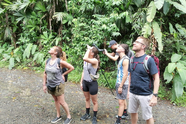 Parc Manuel Antonio : Visite guidée des animaux et de la plageParc Manuel Antonio : Visite guidée de la faune et de la flore et temps passé à la plage.