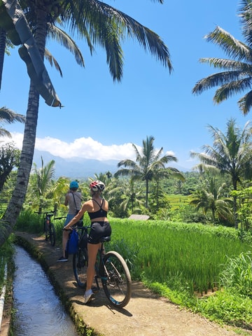 Lombok Cycling tour: Rice field, Waterfall, Monkey Forest