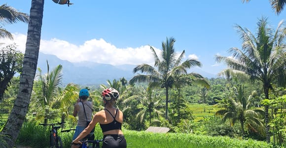 Lombok Cycling tour: Rice Terrace, Waterfall, Monkey Forest