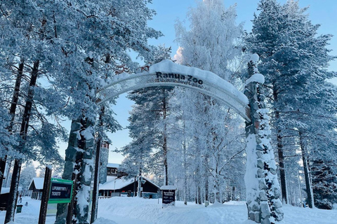Rovaniemi: Ranua’s Wildlife Park Ticket with Transportation