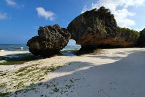 Jozani bos en mtende strand