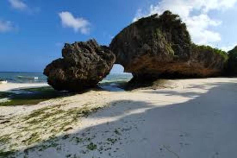 Floresta de Jozani e praia de Mende