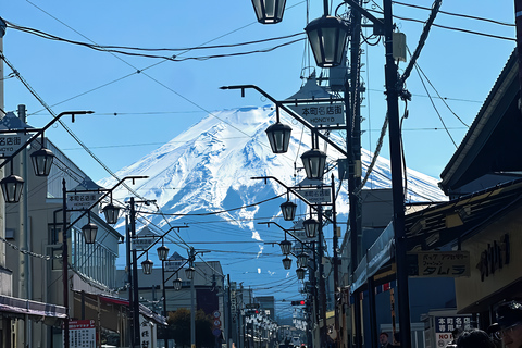 Tokyo: Mountain Fuji Private Full Day Tour with transfer Mount Fuji: Private Tour (Guided tour included) Max 5 pax