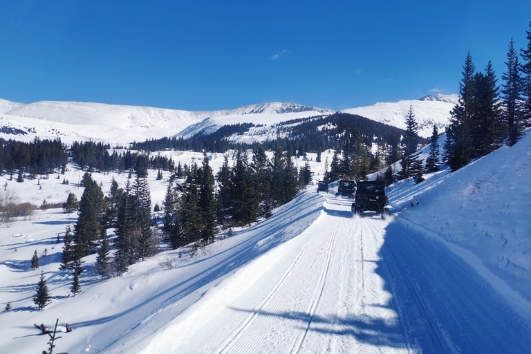 Hatcher Pass: Heated & Enclosed ATV Tours - Open All Year!