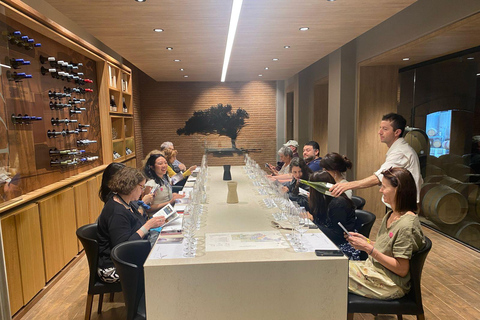 Farellones and Casablanca Valley: Private Mountain Tour and Premium Wines