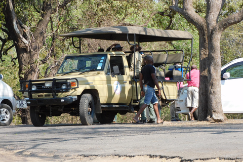 Livingstone: Recorrido en vehículo de caza y paseo corto por el safari del rinoceronte blanco