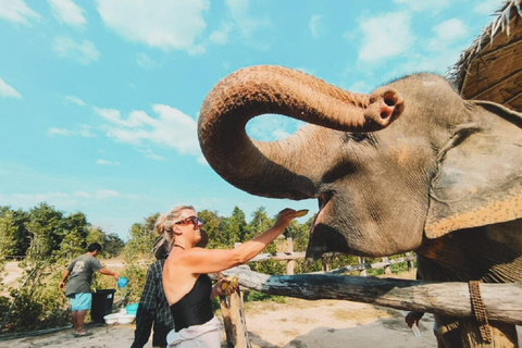 Kambodscha Elefantenheiligtum und Banteay Srey Tempel Tour