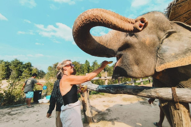 Tour del santuario degli elefanti e del tempio di Banteay Srey in Cambogia