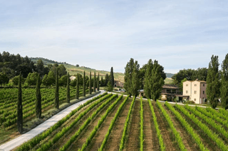 Gastronomische ervaringen in Urbino