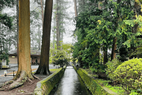 Tokyo: Mount Fuji and Hakone Private Flexible TourTour in a Leisure Vellfire