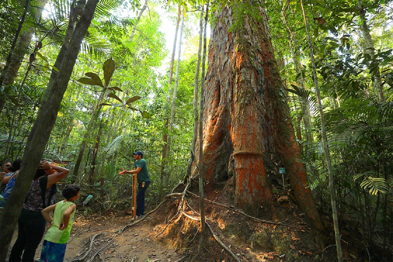 Manaus: Wizyta w MUSA (Muzeum Amazonii)