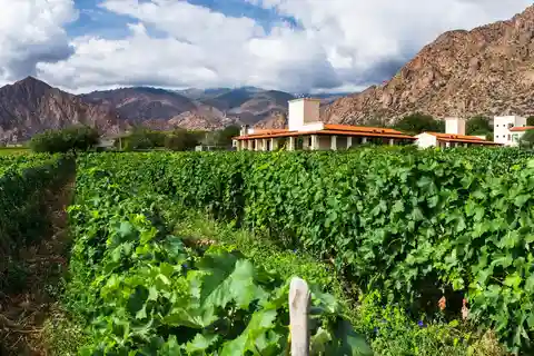 4-Day Tour of Salta Cafayate and Humahuaca