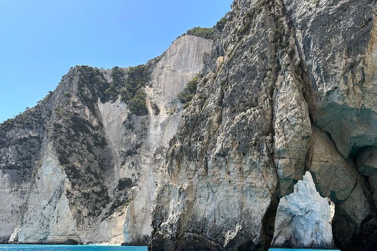Boottochtjes met glazen boot om schildpadden te spotten