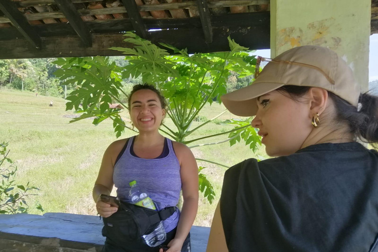 Kandy: Knuckles Mountain Range Full-Day Hike with Lunch