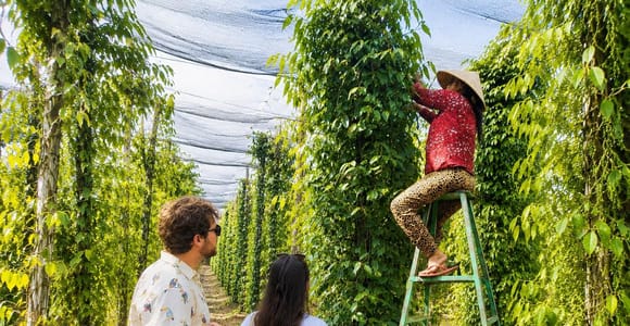 Phu Quoc Soul: Small-group Authentic Land Tour