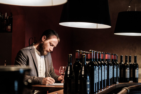 Carcassonne: Wine Tasting Experience with Sommelier