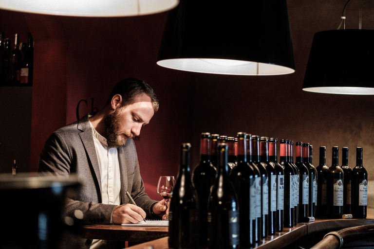 Carcassonne: Wine Tasting Experience with Sommelier