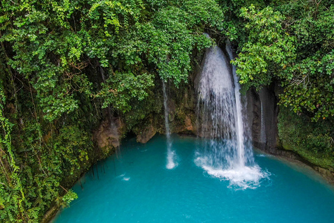 Cebu: Oslob Whale Shark Experience & Kawasan Canyoneering