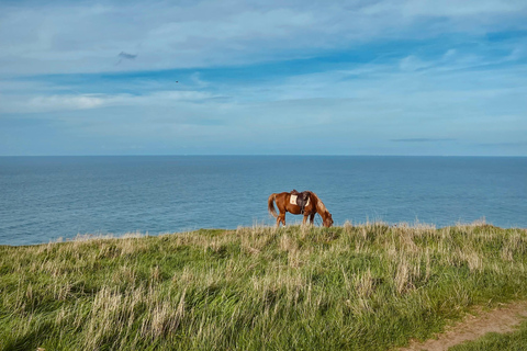 Dragør: Søvang Open Landscape & Coastal Horseback Experience