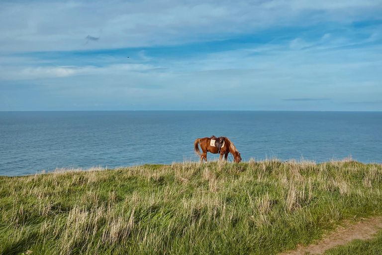 Dragør: Søvang Open Landscape & Coastal Horseback Experience