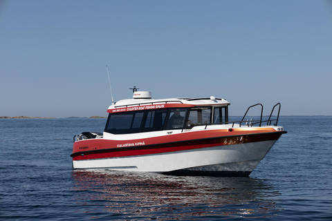 Helsinki: Private Boat Taxi Service