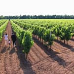 Alghero: tour enologico con degustazione di vini e cibo