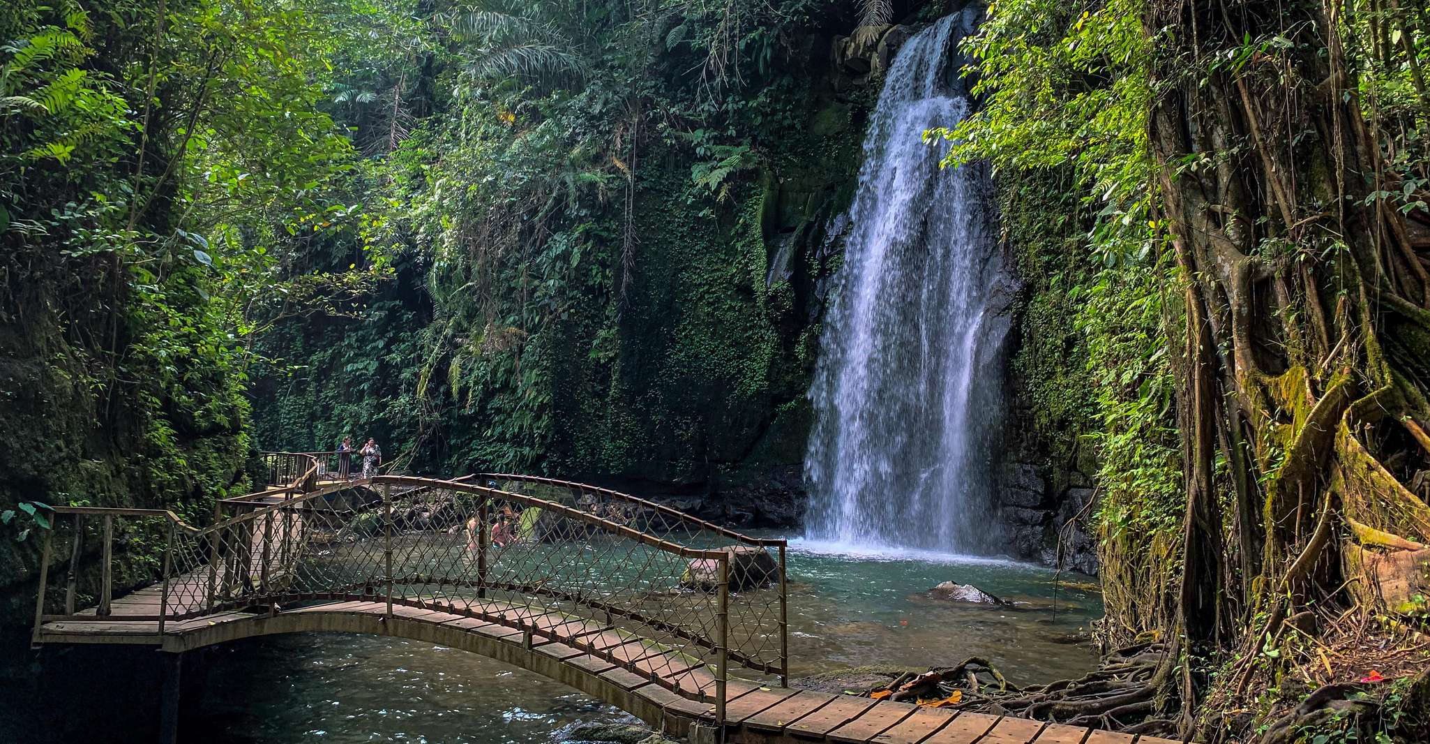 Ubud, la forêt de singes, la chute d'eau et les terrasses de riz Visite guidée - Hizvo