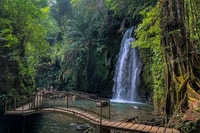 Ubud, Affenwald, Wasserfall & Reisterrassen Führung - Hizvo