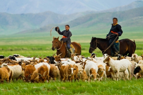 5 day Central Mongolia and Nomad stay tour
