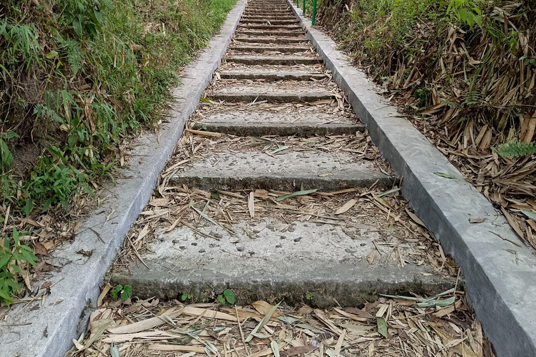 Yogyakarta: Radfahren &amp; Merapi-Lava-AussichtRadfahren &amp; Merapi Lava View über Gubug Arum Sari: Nicht-Wandern