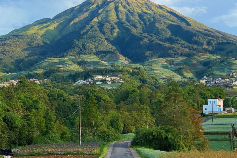 Yogyakarta: Nepal Van Java & Vegetable Village Tour