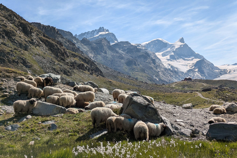 Zermatt: Five Lake Trail Private Guided Hike
