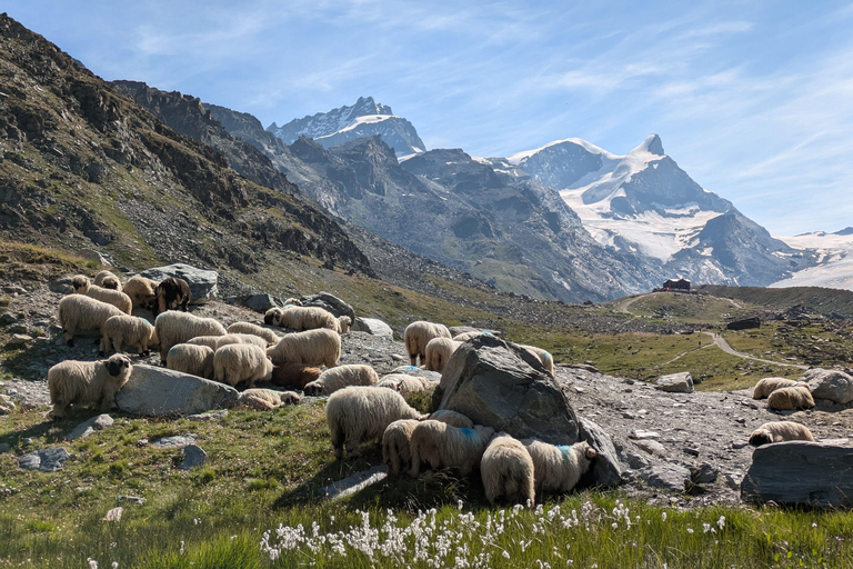 Zermatt: Five Lake Trail Private Guided Hike