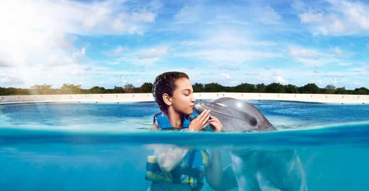 Punta Cana: Dolphin Discovery Park with Hotel Transfers
