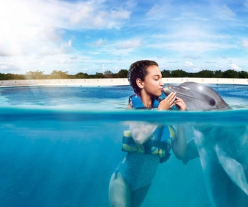 Punta Cana: Parco delle Scoperte dei Delfini con trasferimenti dall'hotel