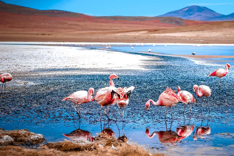 De La Paz à Atacama : Circuit de 4 jours dans les salines d&#039;Uyuni