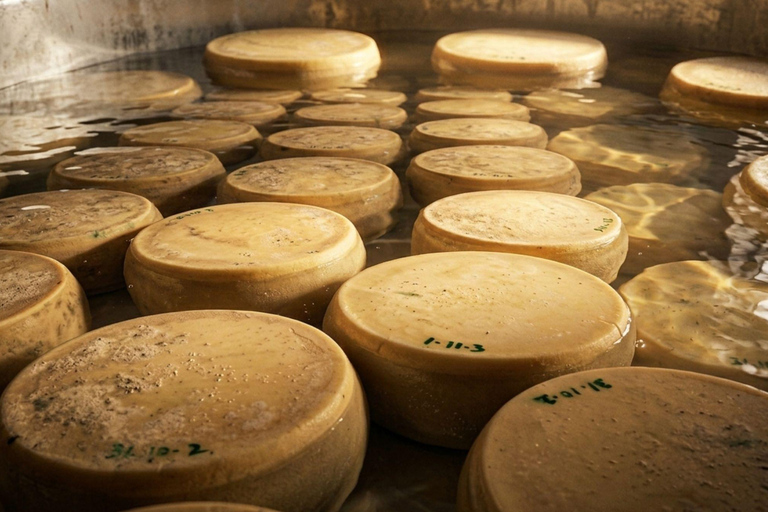 From Milk to Wheels: Parmesan Tour & Tasting in Parma Parmesan Tour in Parma - German