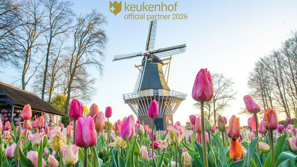 Amsterdam: ingresso al Keukenhof e bus navetta con ritorno flessibile