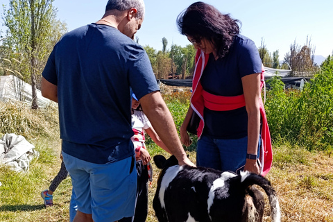 Xochimilco for kids and families