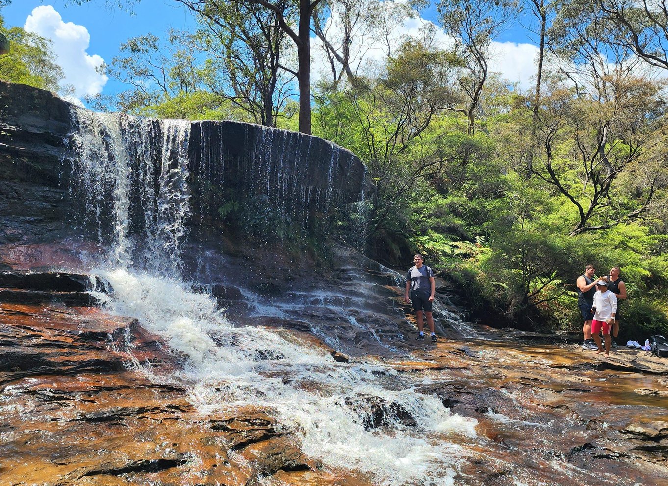 Fra Sydney: Blue Mountains-tur med vandfaldsvandring og frokost