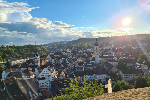 من زيورخ: جولة لنصف يوم في شلالات الراين وشافهاوزن