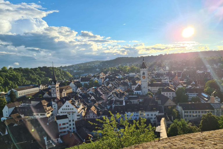 من زيورخ: جولة لنصف يوم في شلالات الراين وشافهاوزن