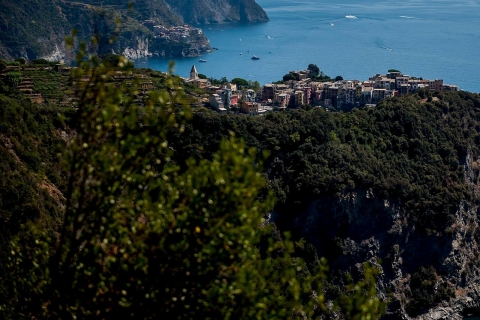 Ab Florenz: Cinque Terre - optionale Wanderung & MittagessenGruppentour auf Englisch mit Wanderung