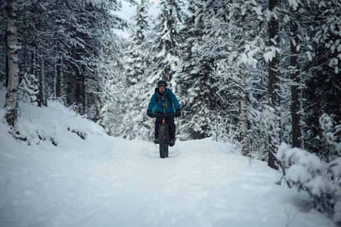 Levi, Lapland: E-Fatbike trip to white nature