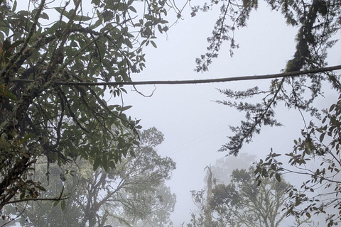 Hike through the Cloud Forest in Choachi, from Bogota