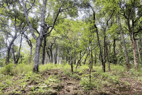 Chiang Mai: Hmong Village, Doi Suthep and Wat Pha Lat Trek