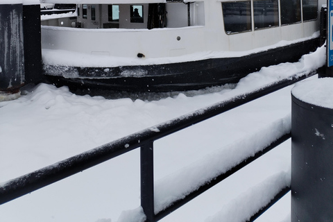 Helsinki: City Highlights, Fortress Island & Floating Sauna