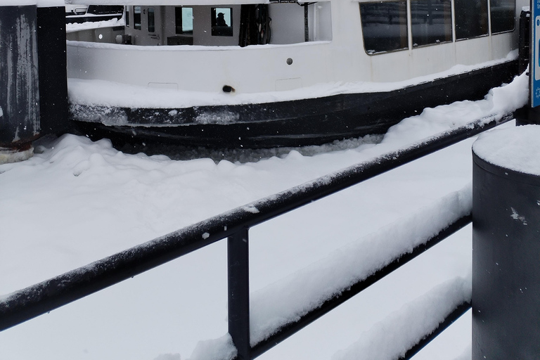 Helsinki: City Highlights, Fortress Island & Floating Sauna